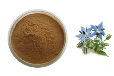 बोरैगो ऑफिसिनलिस एक्सट्रैक्ट 20: 1
