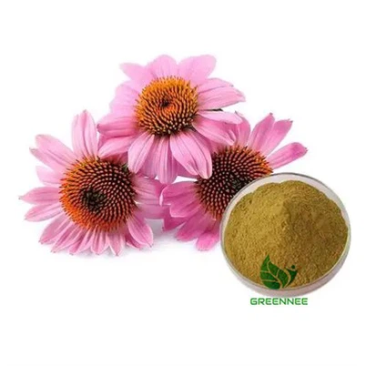 इचिनेशिया हर्ब एक्सट्रेक्ट पॉलीफेनोल्स 4%