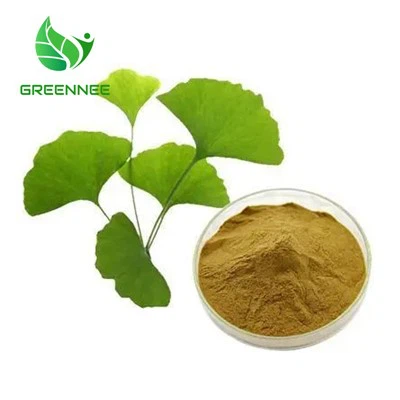 जिन्कगो बिलोबा अर्क पाउडर